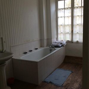 Suite Junior